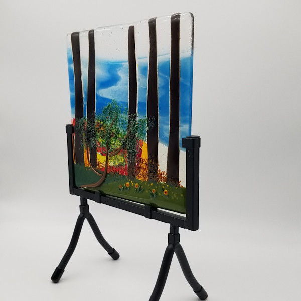 Regenerating Forest at Sunset by Karin Danapas