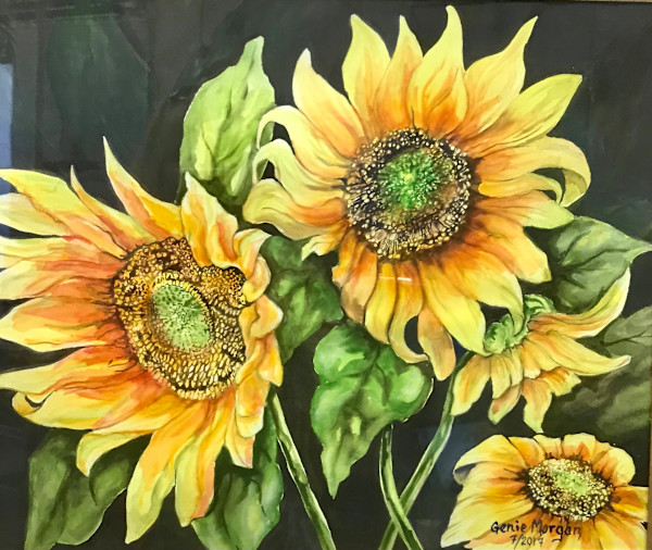 Sunflowers by Genie Morgan