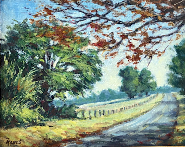 County Road 313, Tyler TX by Vickie Fears