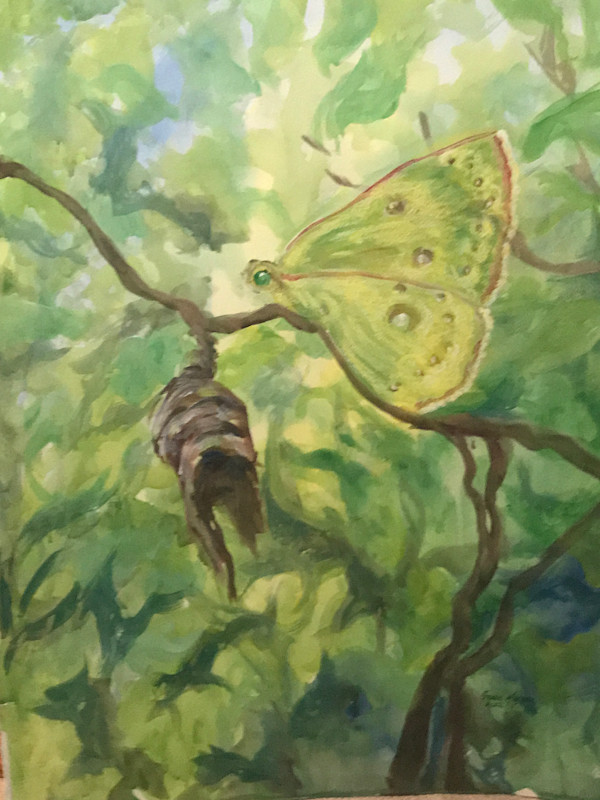 Transformation by Genie Morgan