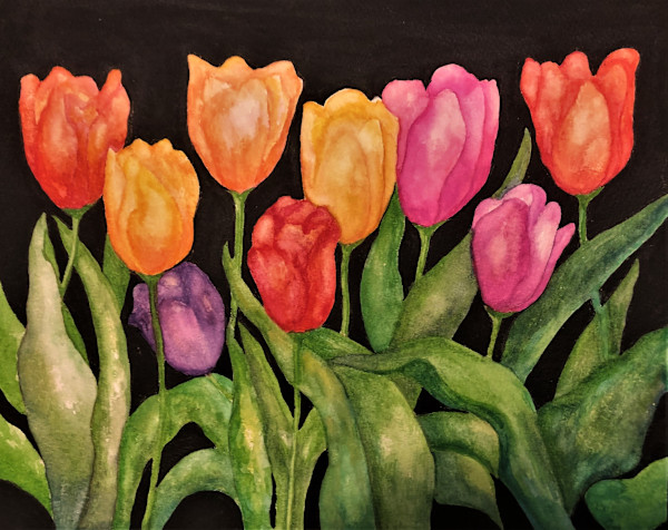 Multi-Colored Tulips by Donna Cariker