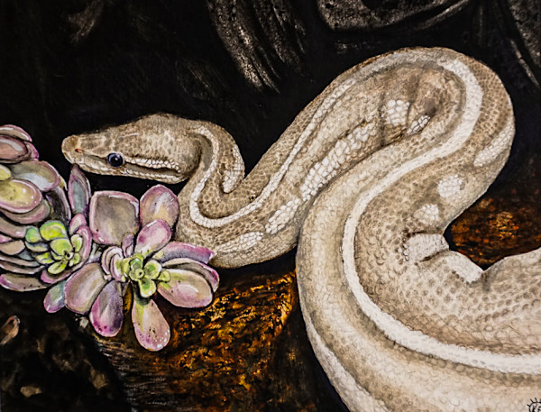 Alchemy Snake 2 by Krystin Fisher
