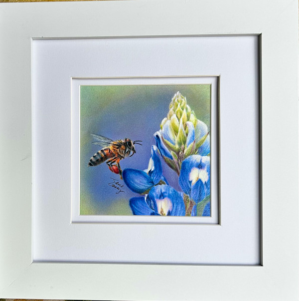 Bluebonnet and Honeybee by Jane Casey, Image 1.