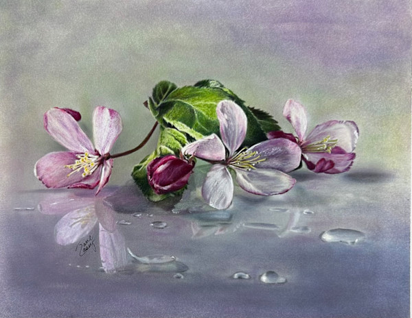 Japanese Crabapple Blossoms by Jane Casey, Image 1.