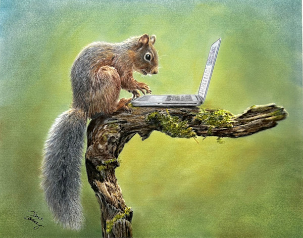 Whimsical Tale “My Long Tail Adventures” by Jane Casey