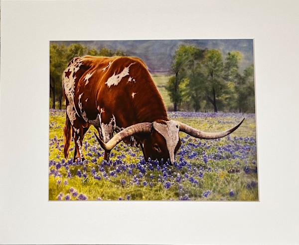Texas Longhorn in Bluebonnets by Jane Casey, Image 1.