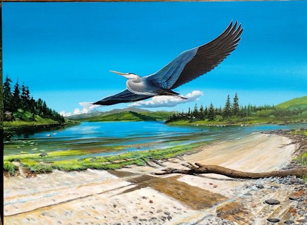 Heron_Haven by Heiko Schlueter