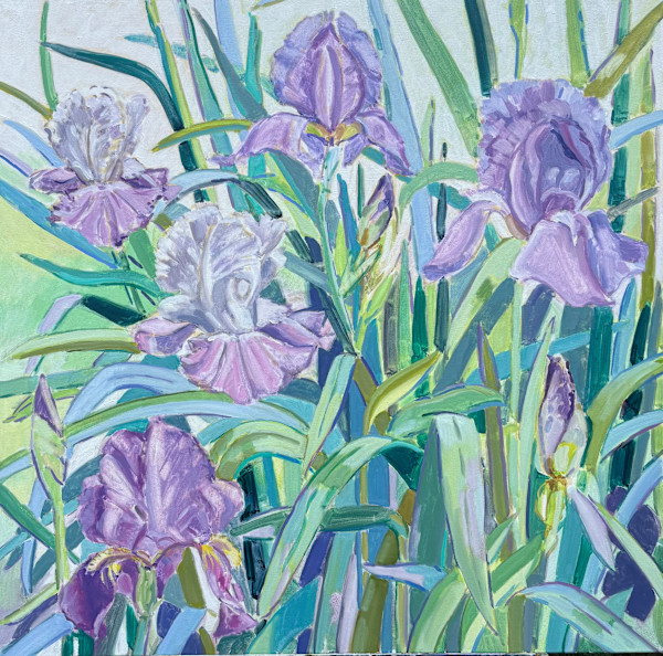 Spring Iris- Tyler Rose Garden by Kitty Dudics