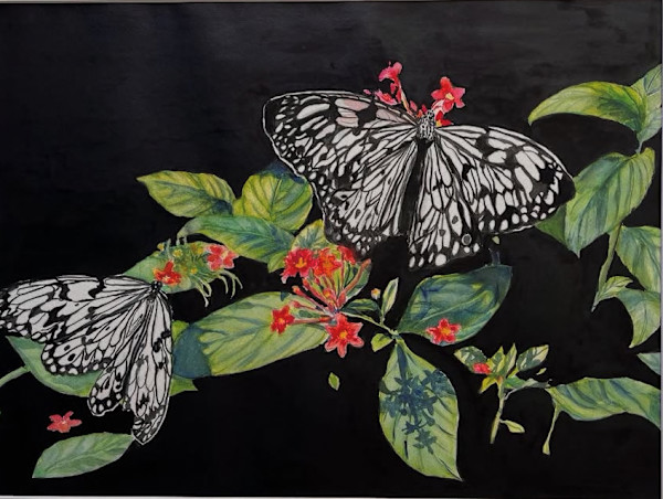 Black and White Beauty by Liz Reese