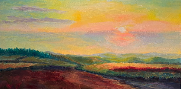 San Juan Island Summer by Lisa de Graffenried