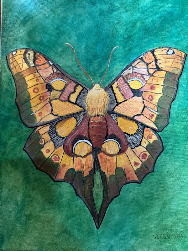 Butterfly Moth by Becky Chelf, Image 1.