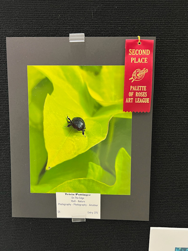 On The Edge by Tricia Pottinger