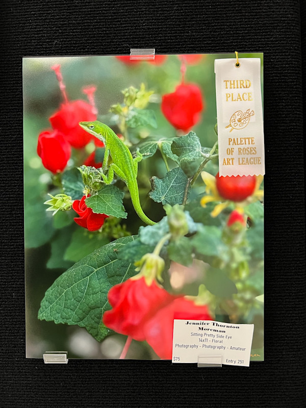 Sitting Pretty Side Eye by Jennifer Thornton Moreman