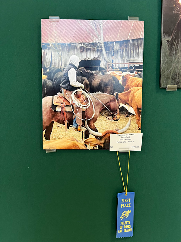 Ranch Hand by Sonora Martin