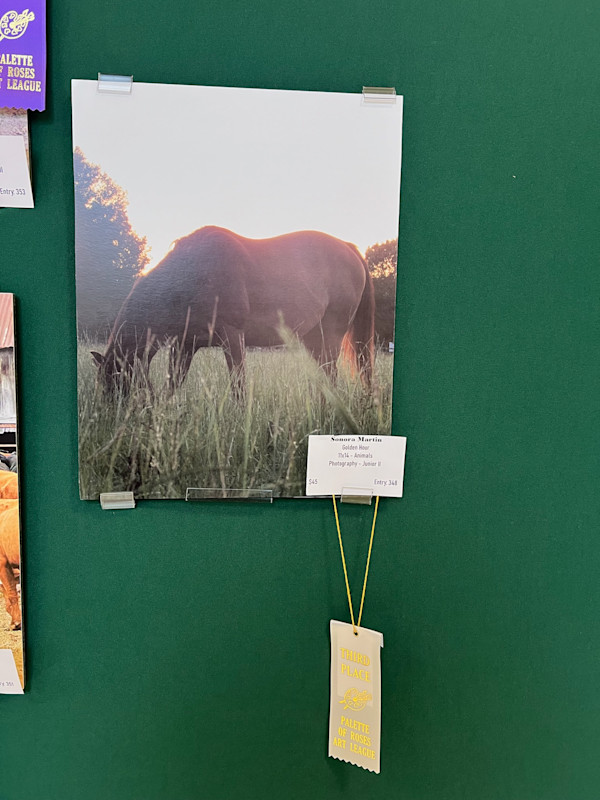 Golden Hour by Sonora Martin