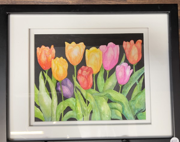 Multi-colored Tulip by Donna Cariker