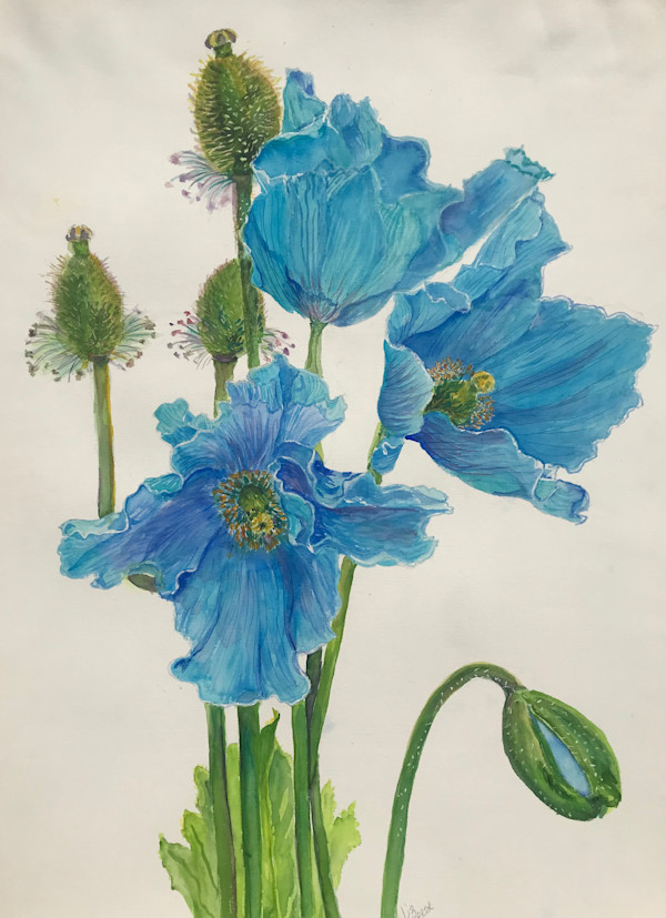 Blooms of Blue by Liz Reese