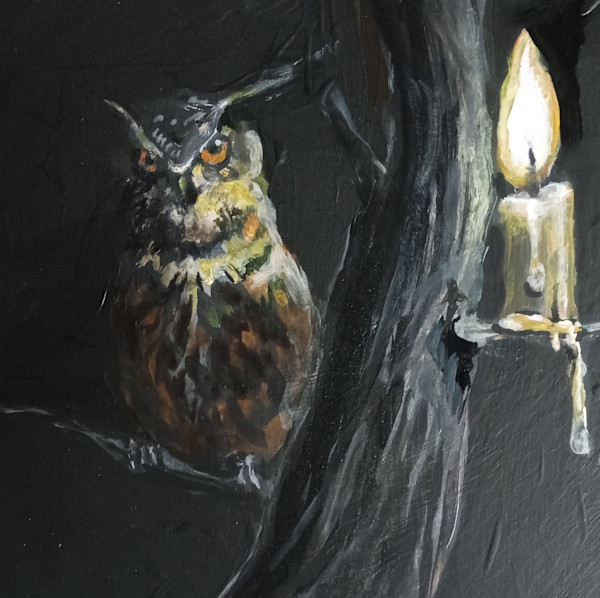 Night owl by Rick Cade