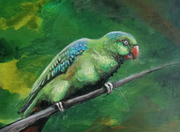 Tropical by Rick Cade