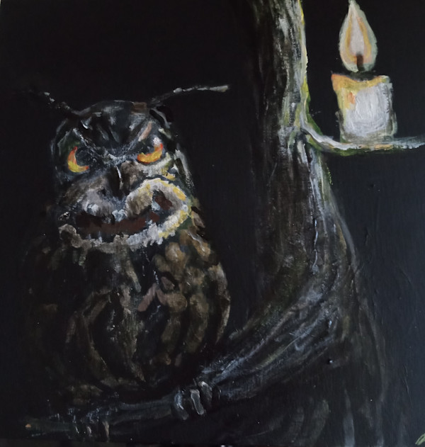 Night owl by Rick Cade