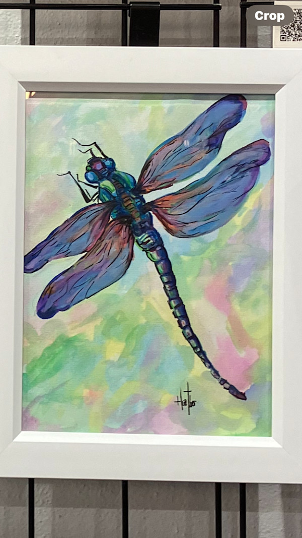 Dragonfly Dreams by Heather Burris
