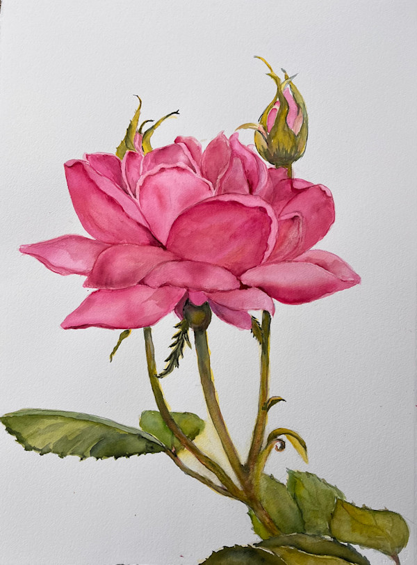 Backyard Beauty by Liz Reese, Image 1.