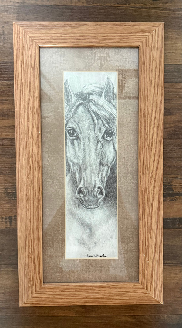 Heart of the West by Erica Willoughby