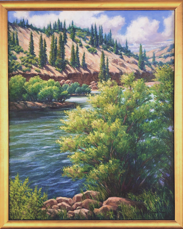 Rio Grande , Colorado by Vickie Fears
