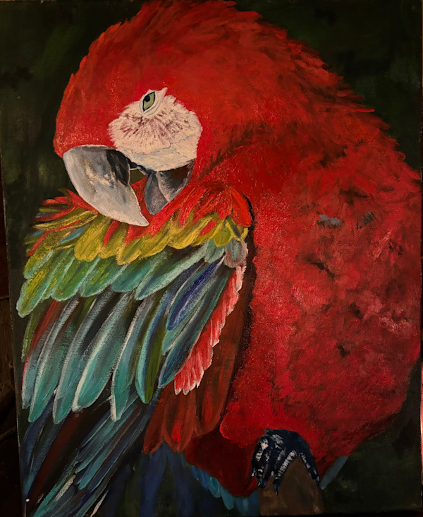 Pretty Perch by Felicia Gunter