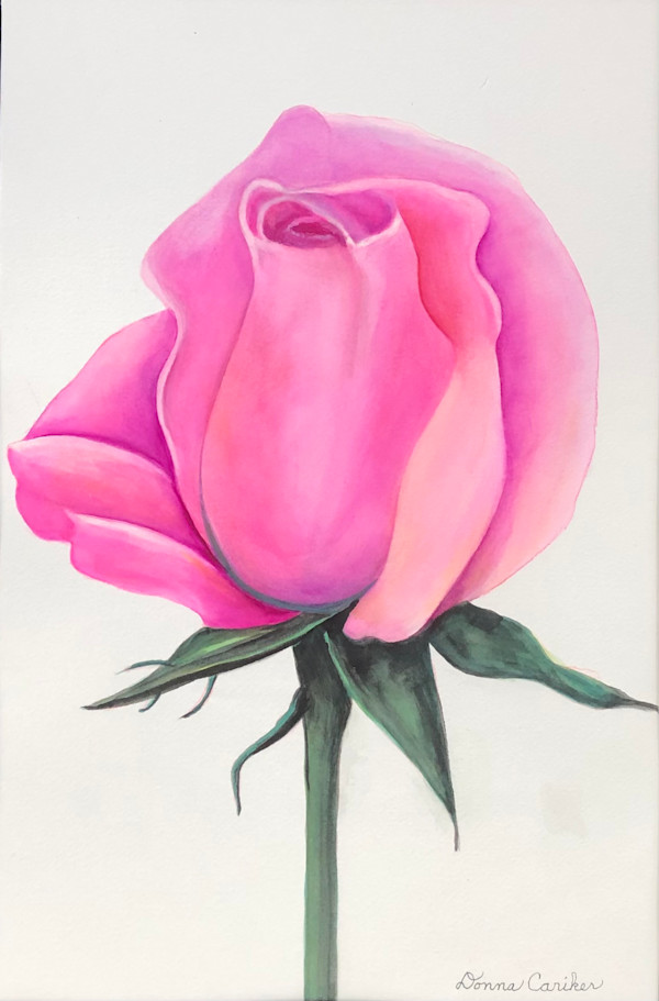 Pink Rosebud by Donna Cariker