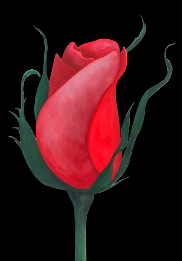 Red Rosebud by Donna Cariker