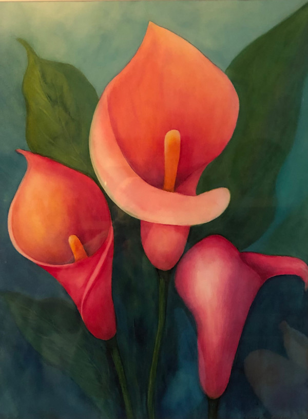 Calla Lilies by Donna Cariker