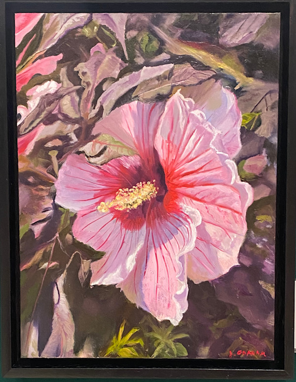 Hibiscus 1 by Jane Graham