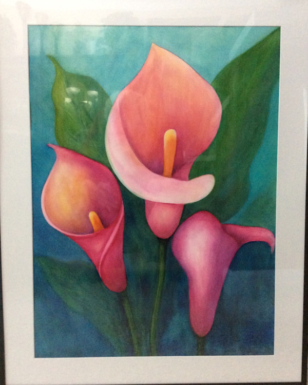 Calls Lilies by Donna Cariker