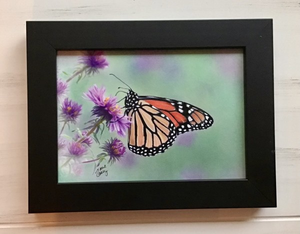 Monarch on Asters by Jane Casey