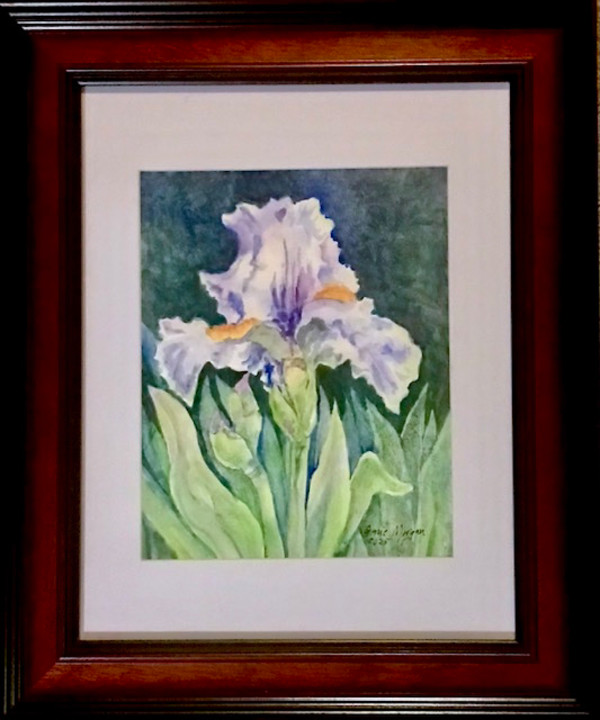 Iris with Violet by Genie Morgan