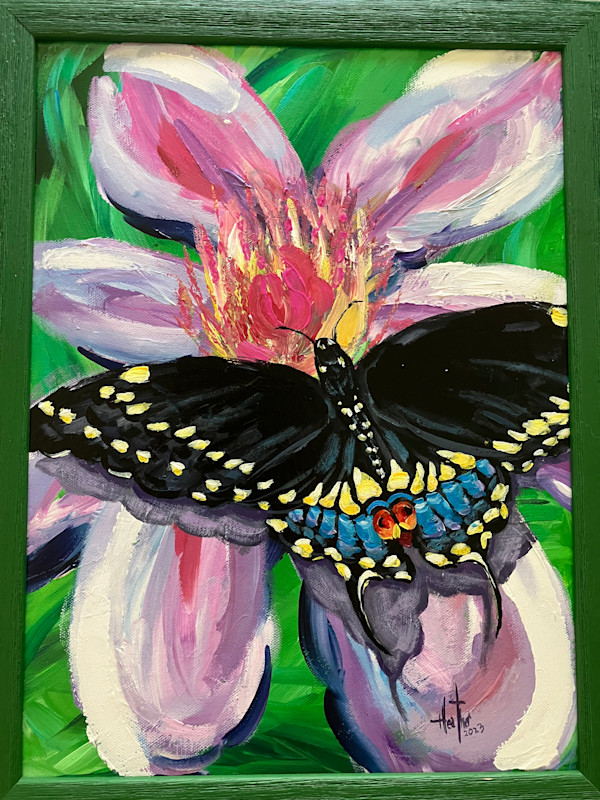 Black Beauty by Heather Burris