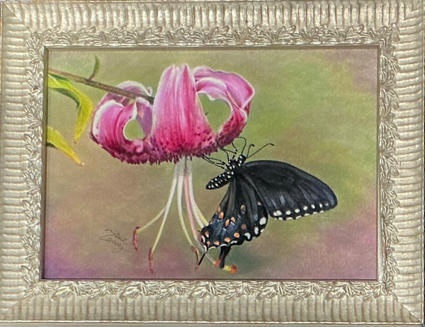 After Darkness comes Hope “Black Tiger Swallowtail Butterfly by Jane Casey