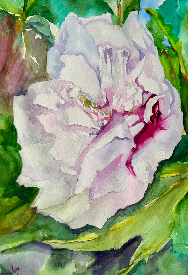 Double Bloom Althea by Linda Schooley
