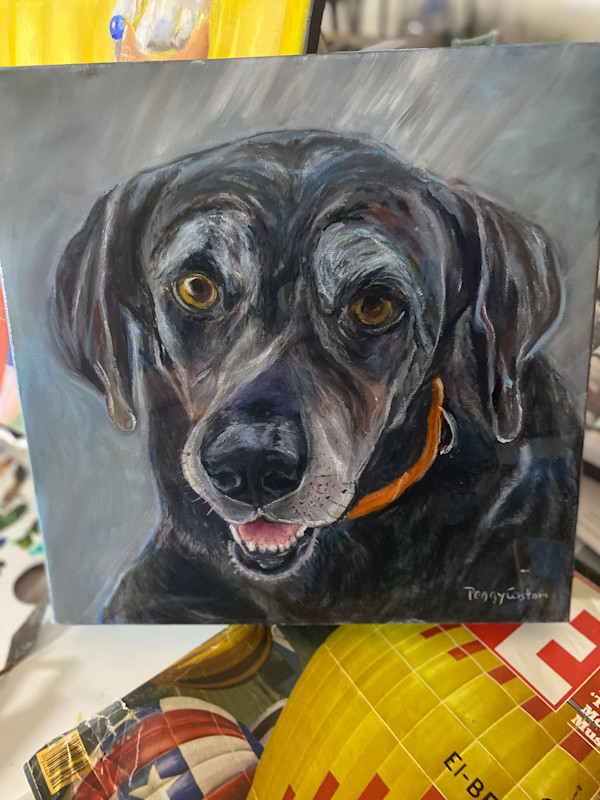Old lab by Peggy Coston