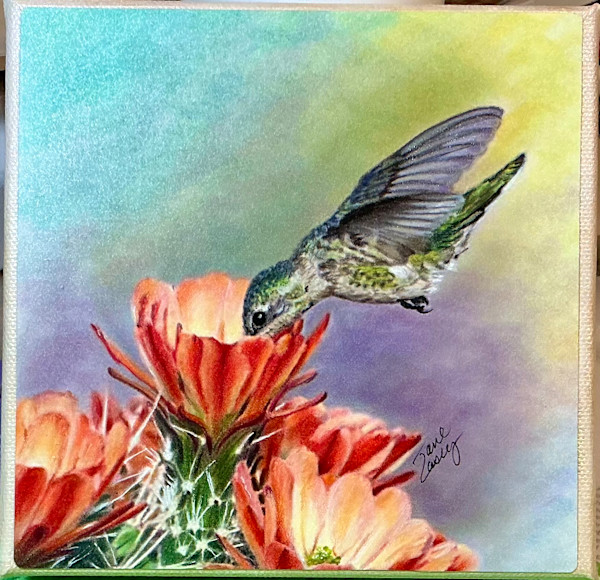 “Prickly Sweet” Hummingbird Series by Jane Casey