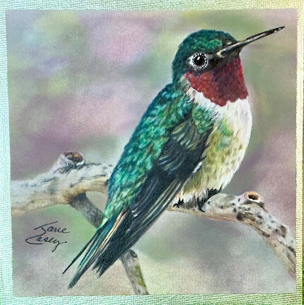 “Colorful Suit” Hummingbird Series  w/Easel by Jane Casey