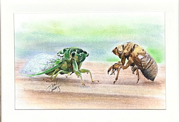 A Good Peel Works Wonders by Jane Casey