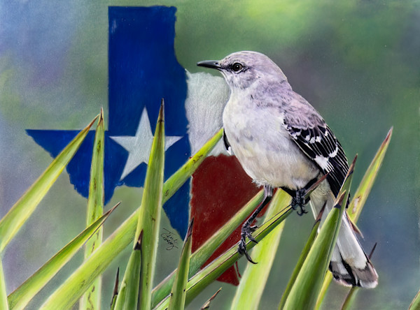 I’m From Texas by Jane Casey
