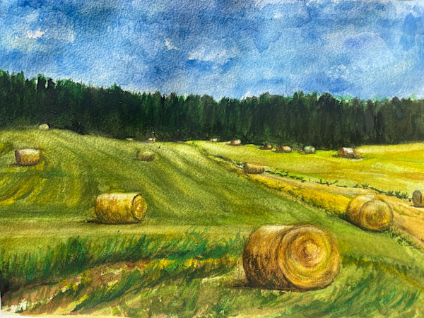 Haybales on a pasture in East Texas by Marsha Blount