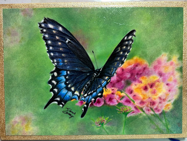 Sweet Lantana Black Swallowtail by Jane Casey