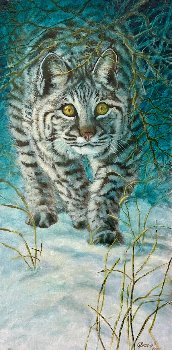Bobcat by Gary Broome