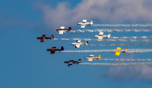 Flight in Formation by Linda Davidson