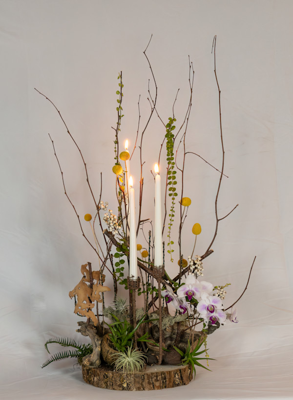 Nature Recovers by Diane Reis, Image 1.