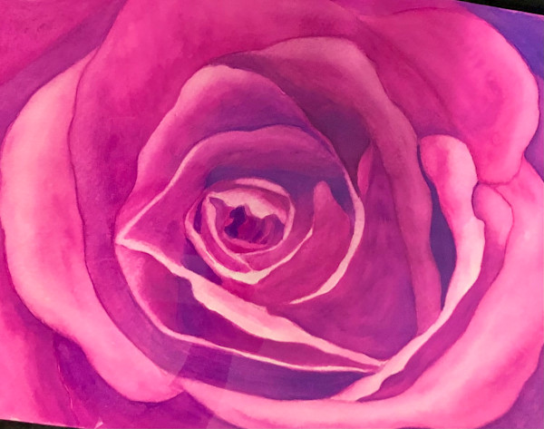 Pink Rose Close-Up by Donna Cariker